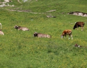 Baggerarbeiten am Marienbergjochweg