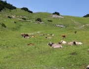Baggerarbeiten am Marienbergjochweg