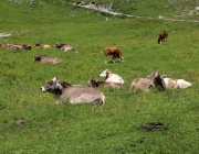 Baggerarbeiten am Marienbergjochweg