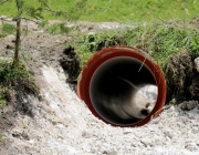 Baggerarbeiten am Marienbergjochweg