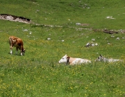 Baggerarbeiten am Marienbergjochweg