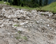 Baggerarbeiten am Marienbergjochweg