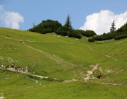 Baggerarbeiten am Marienbergjochweg