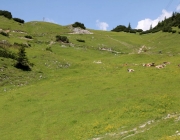 Baggerarbeiten am Marienbergjochweg