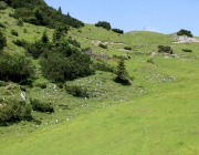 Baggerarbeiten am Marienbergjochweg