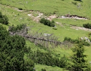 Baggerarbeiten am Marienbergjochweg