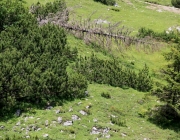 Baggerarbeiten am Marienbergjochweg