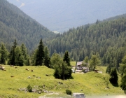 Baggerarbeiten am Marienbergjochweg