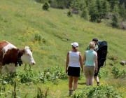 Baggerarbeiten am Marienbergjochweg