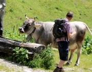 Baggerarbeiten am Marienbergjochweg