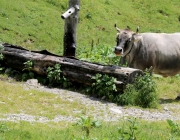 Baggerarbeiten am Marienbergjochweg