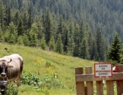 Baggerarbeiten am Marienbergjochweg