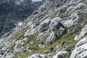 bergfuierlen_2020-57