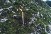 bergfuierlen_2020-7