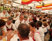 bezirksmusikfest-mieming_592