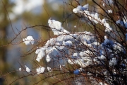 Winter-Bauprojekt Badesee Mieming – Kinderträume nehmen Gestalt an