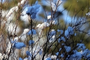 Winter-Bauprojekt Badesee Mieming – Kinderträume nehmen Gestalt an