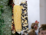 Erntedankfest 2015 in Barwies