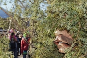 Fasnacht 2018 in Mieming mit »Labara«: Das wird wieder narrisch!