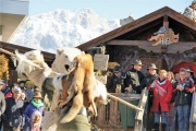 Fasnacht 2018 in Mieming mit »Labara«: Das wird wieder narrisch!