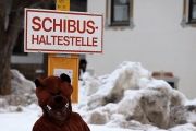 Fasnacht 2018 in Obermieming und Barwies