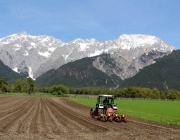 Anfang Mai hat die Feldarbeit Hochkonjunktur – Drei Bauern, drei Geschichten