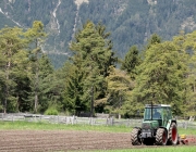 Anfang Mai hat die Feldarbeit Hochkonjunktur – Drei Bauern, drei Geschichten