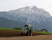Anfang Mai hat die Feldarbeit Hochkonjunktur – Drei Bauern, drei Geschichten