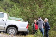 Angekommen – Gebirgsforellen im Stöttlbach und Krebsbach