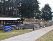 Frühjahrs-Schafbad Fiecht 2013 – „Was danach kommt, ist die Alm“