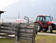 Frühjahrs-Schafbad Fiecht 2013 – „Was danach kommt, ist die Alm“