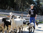fruehjahrsschafbad_untermieming-fiecht_08.04.2017_062
