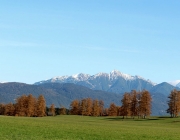 Goldener Herbst am Sonnenplateau Mieming