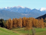 Goldener Herbst am Sonnenplateau Mieming
