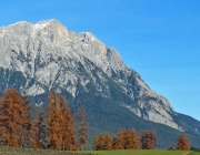 Goldener Herbst am Sonnenplateau Mieming