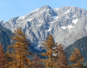 Goldener Herbst am Sonnenplateau Mieming