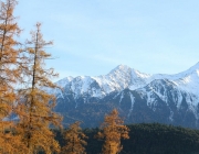 Goldener Herbst am Sonnenplateau Mieming