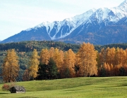 Goldener Herbst am Sonnenplateau Mieming