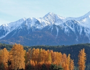 Goldener Herbst am Sonnenplateau Mieming