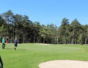 Golfclub Grauschimmelturnier 2017