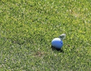 Golfclub Grauschimmelturnier 2017