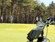 golf_grauschimmelturnier_2017_057