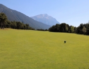 golf_grauschimmelturnier_2017_072