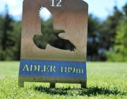 golf_grauschimmelturnier_2017_134