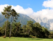 Mieminger Herbstwald – Der Goldene Herbst auf Abschiedstour