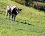 Herbstliches Barwies – Der Ort strahlt eine bunt angemalte Stille aus