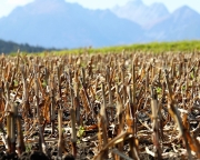 Herbstliches Barwies – Der Ort strahlt eine bunt angemalte Stille aus