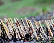 Herbstliches Barwies – Der Ort strahlt eine bunt angemalte Stille aus