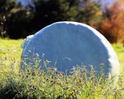 Herbstliches Barwies – Der Ort strahlt eine bunt angemalte Stille aus