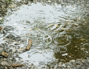Herz-Jesu-Fest 2014 in Barwies – Prozession fiel ins Wasser